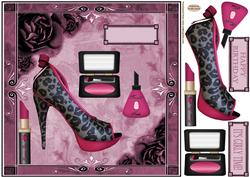 Birthday Pink Shoe & Make-up 8 x 8ins Topper