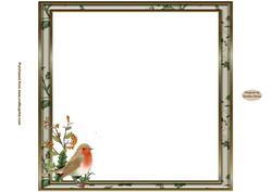 Christmas Robin 8 x 8ins Insert 2