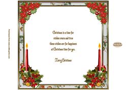 Christmas Holly & Berries 8 x 8ins Insert 1