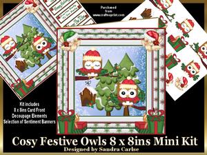 Christmas Cosy Festive Owls 8 x 8ins Mini Kit