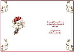 Red Robin Christmas Insert