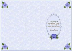 Pastel Blue 'get Well Soon' Insert