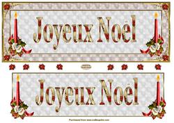 Joyeux Noel Large Dl Card Front