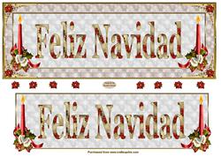 Feliz Navidad Large Dl Card Front
