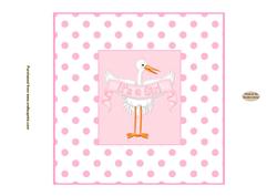 Baby Girl 7x7ins Insert 2