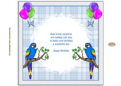 Jungle Parrot Insert to Match Cup603512_719