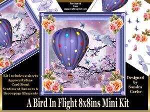 A Bird in Flight Mini Kit