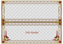Spanish Dl Insert to Match Cup586654_719