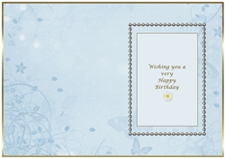 Beautiful Butterfly Aqua Insert