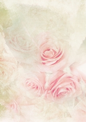 Roses Backing Paper 5