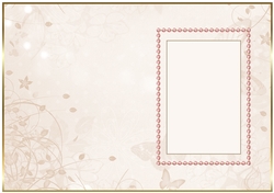 Coral Butterfly Insert