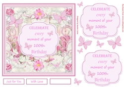 Decoupage 100th Birthday 3D Quick Card