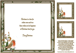 Christmas Robin Insert 1