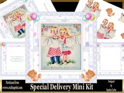 Special Delivery New Baby Mini Kit