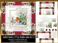 Christmas Little Robin 8x8ins Mini Kit 2