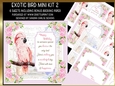 Exotic Bird Decoupage Mini Kit 2