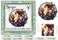 Scorpio Birthday 7x7ins Decoupage Topper 1