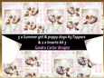 Summer day girl 5 x puppy dog topper sheets with inserts kit 3