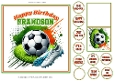 Football Fan 7x7ins card front birthday Grandson with tags & gift card