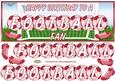 Happy Birthday to a Football Fan Large Dl Card Front