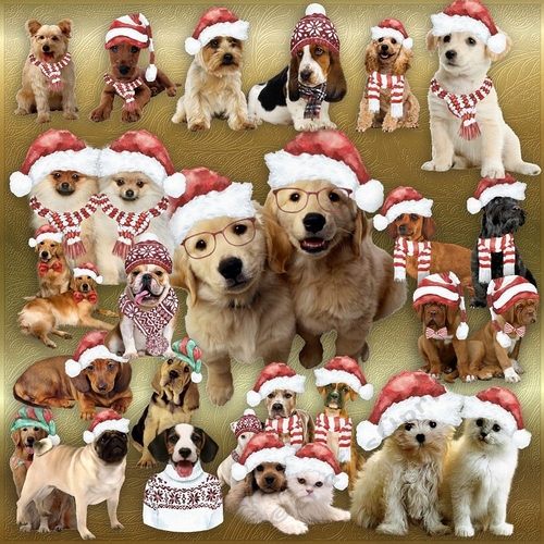 Christmas Pets 