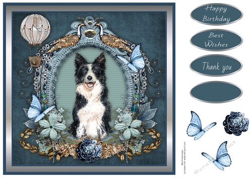 Butterfly Wishes Border Collie