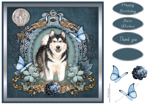 Butterfly Wishes Husky 