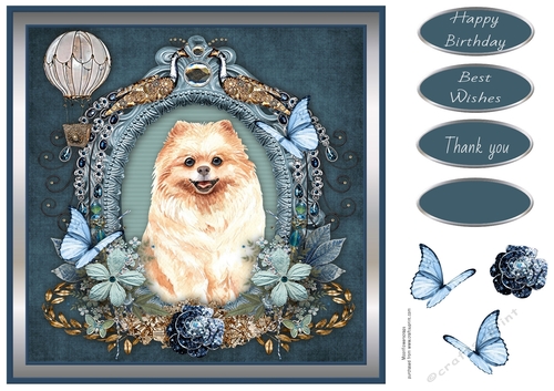 Butterfly Wishes Pomeranian