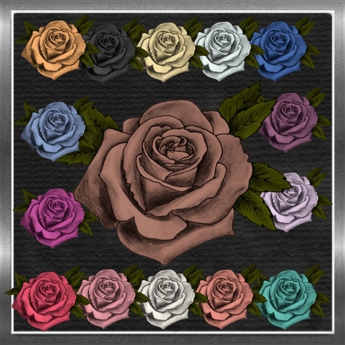 Roses