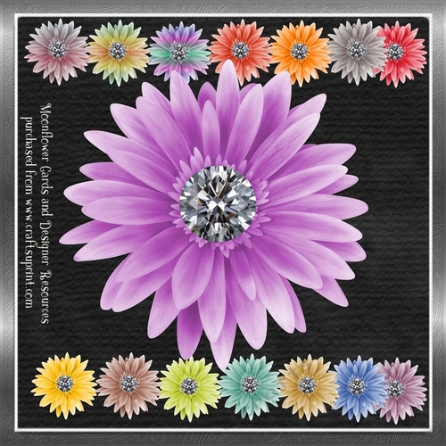 Designer Resource Fantasy Flowers