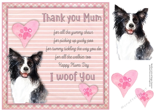 I Woof You Border Collie