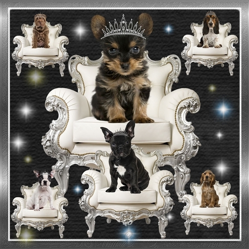Princess Puppy Chair 