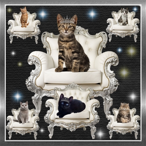 Princess Cat Chair 