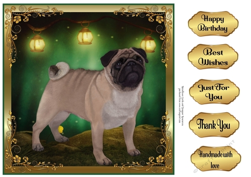 Perfect Pose Pug