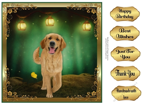 Perfect Pose Golden retriever