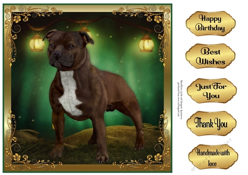 Perfect Pose Staffie