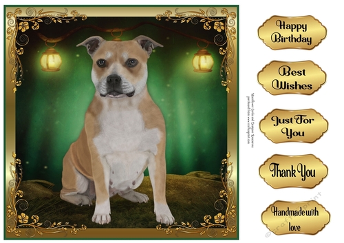 Perfect Pose Staffie