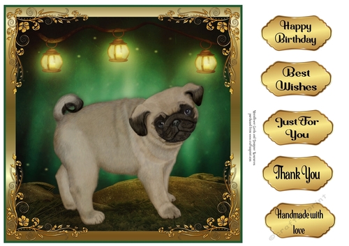 Perfect Pose Puppy pug