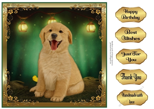 Perfect Pose Puppy  Golden retriever