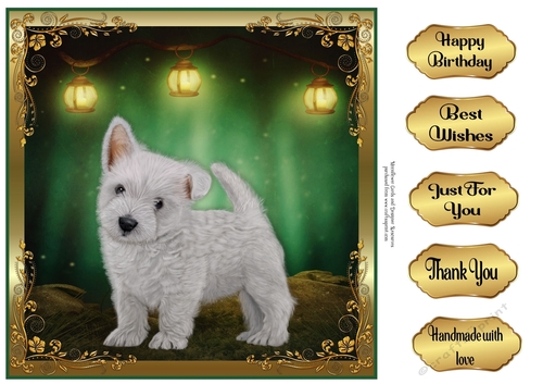 Perfect Pose Puppy  westie