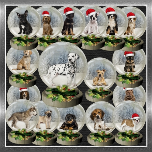 Christmas Dog  Snow Globes
