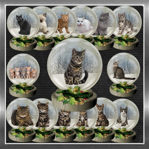 Christmas Cat  Snow Globes
