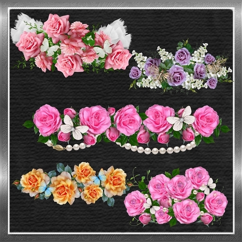 Beautiful Flowers