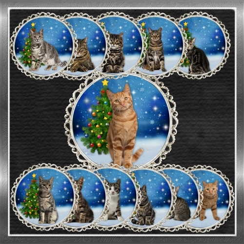 Christmas Cat Toppers 