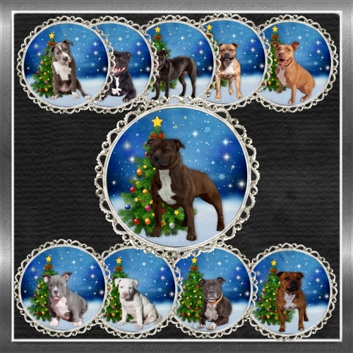Staffie Christmas Toppers 