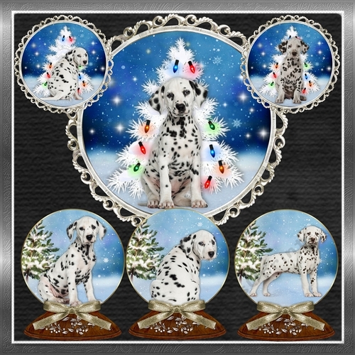 Dally Christmas 