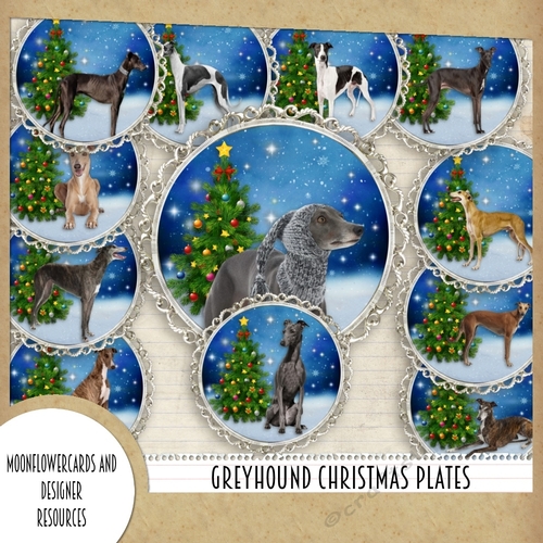 Greyhound Christmas Plates