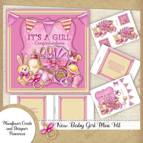 New Baby Girl Mini Kit 