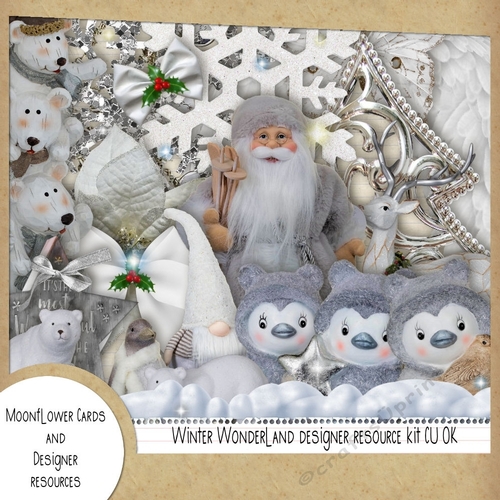 Winter Wonderland Designer Resource Kit 