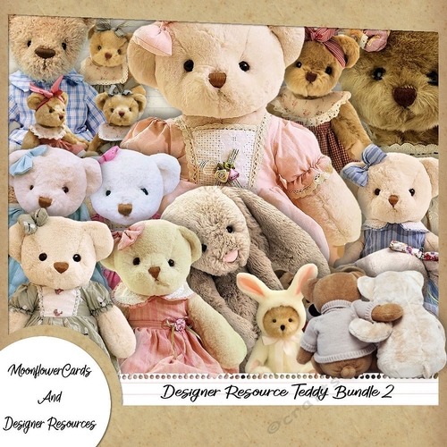 Designer Resource Teddy Bear Bundle 